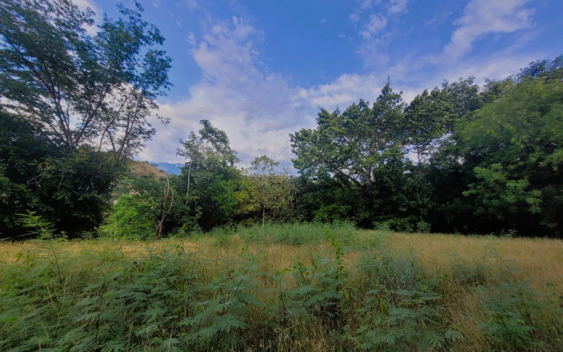 Lote Residencial en Santa Fe de Antioquia en V. La Guanábana