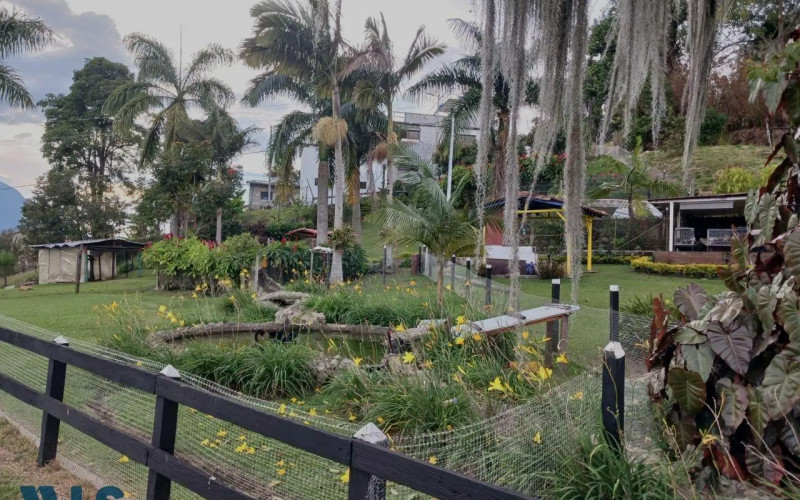 Finca Recreativa en Fredonia en Vereda el Uvital