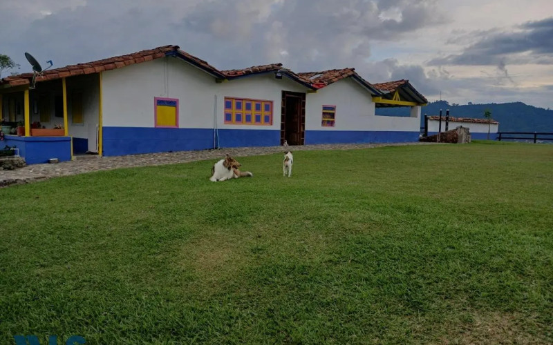 Finca Recreativa en Fredonia en Vereda el Uvital