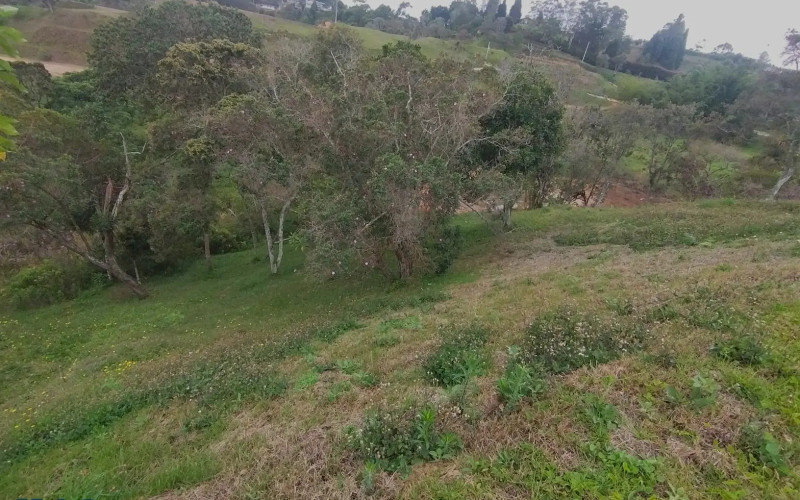 Lote Residencial en Rionegro en V. La Mosquita (Rionegro)