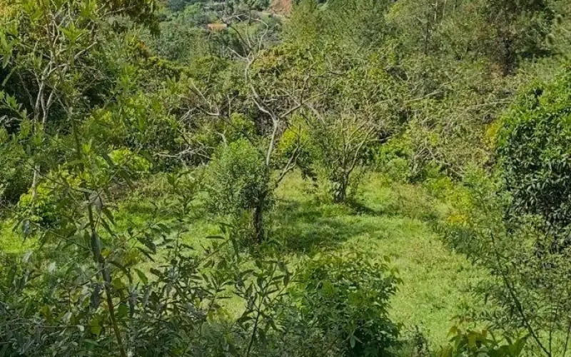 Lote Residencial en San Rafael en Bizcocho