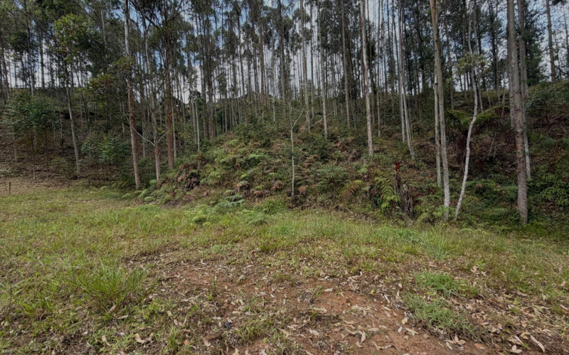 Lote Residencial en La Ceja en Corredor La Ceja - El Retiro