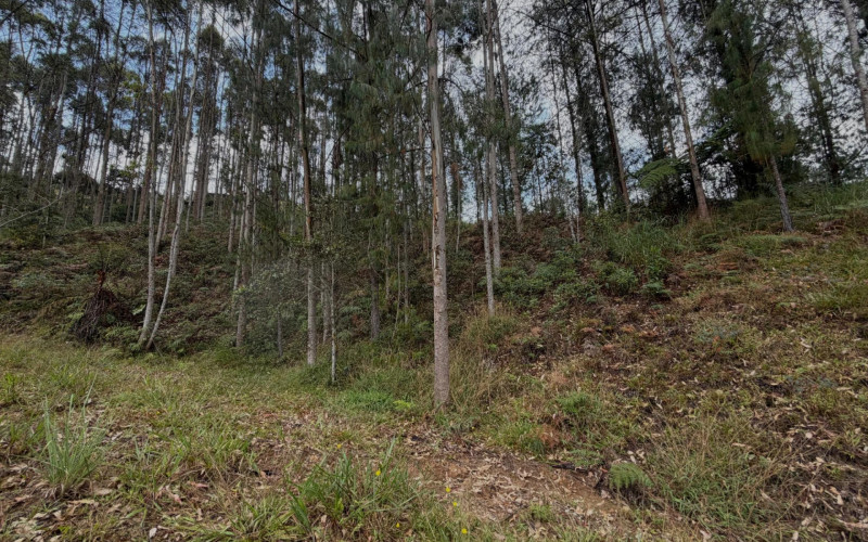 Lote Residencial en La Ceja en Corredor La Ceja - El Retiro