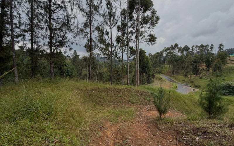 Lote Residencial en La Ceja en Corredor La Ceja - El Retiro