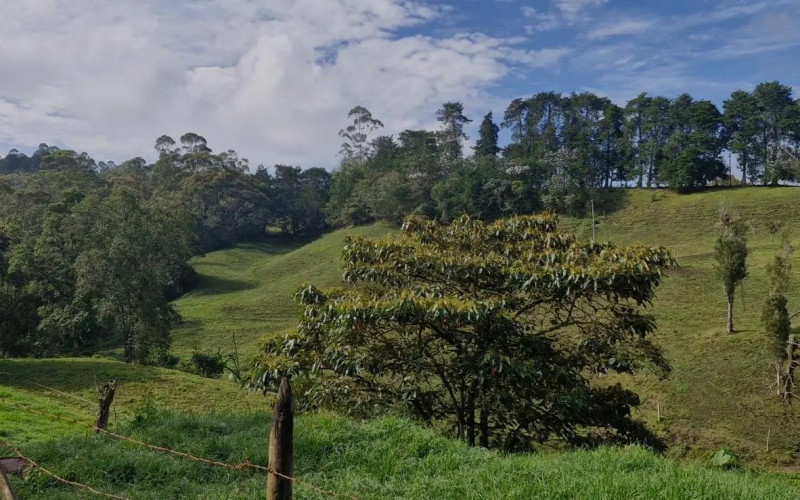 Lote Residencial en Rionegro en Cabeceras