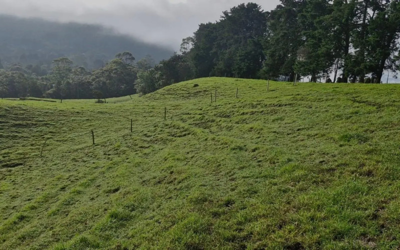 Lote Residencial en Rionegro en Cabeceras
