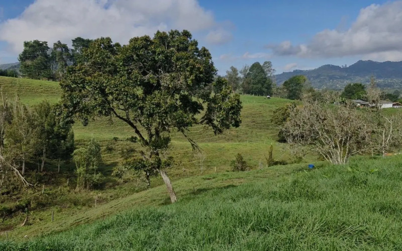 Lote Residencial en Rionegro en Cabeceras