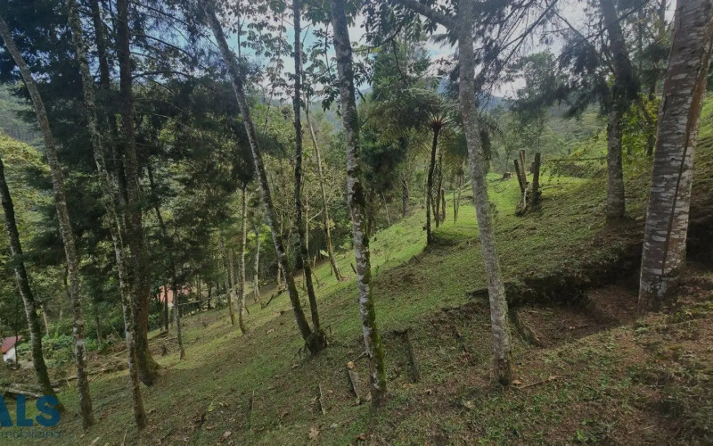 Lote Residencial en Caldas en V. La Miel