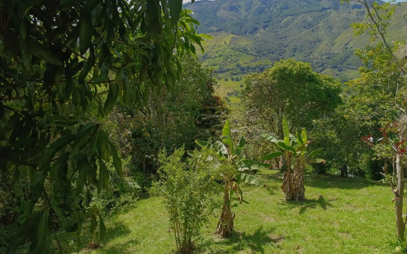 Finca Recreativa en Barbosa en V. El Cortado