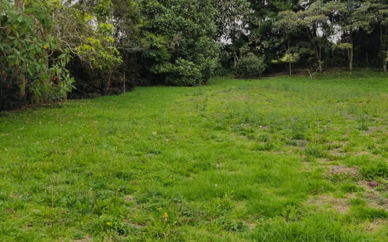 Lote Residencial en Envigado en Alto de las Palmas