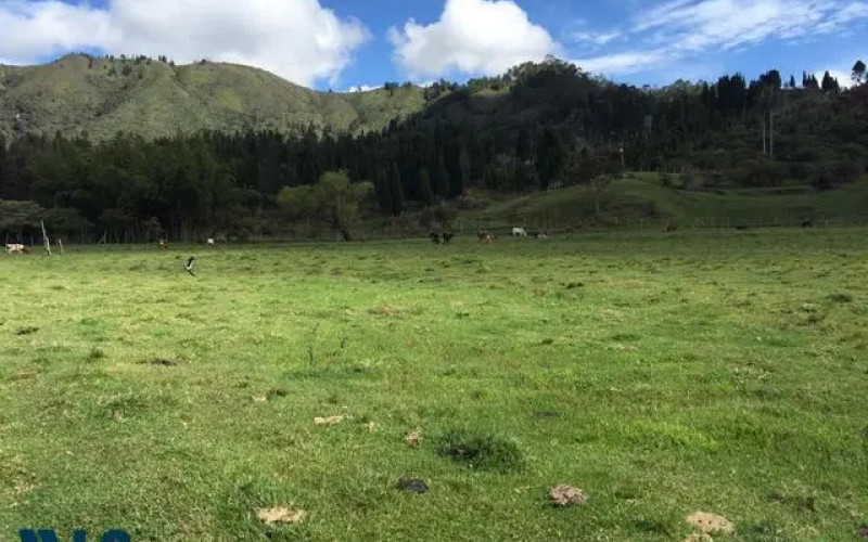 Lote Residencial en Guarne en V. La Honda
