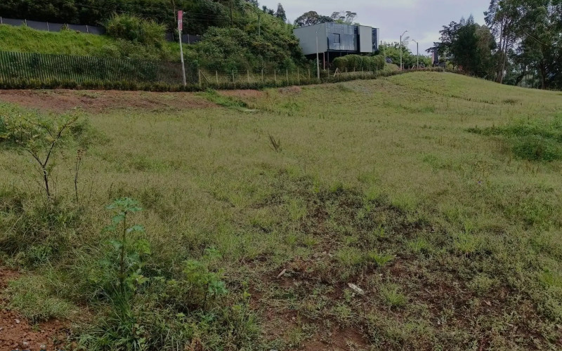 Lote Residencial en La Ceja en V. El Tambo