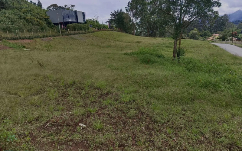 Lote Residencial en La Ceja en V. El Tambo