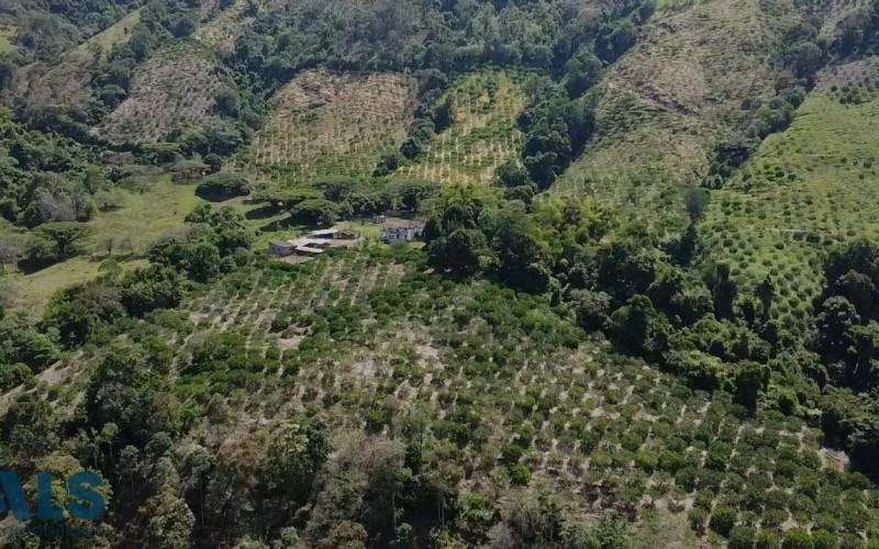 Casa en Tarso en Cauca Viejo