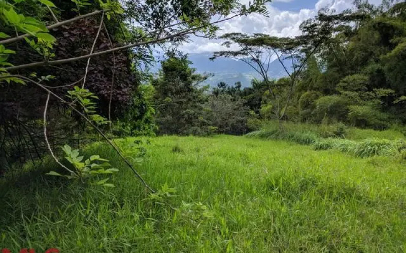 Lote Residencial en Titiribi en La Albania