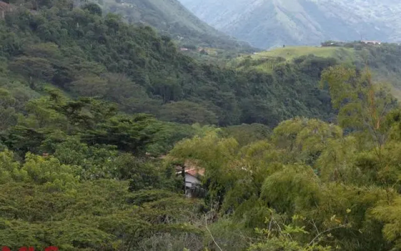 Lote Residencial en Titiribi en La Albania