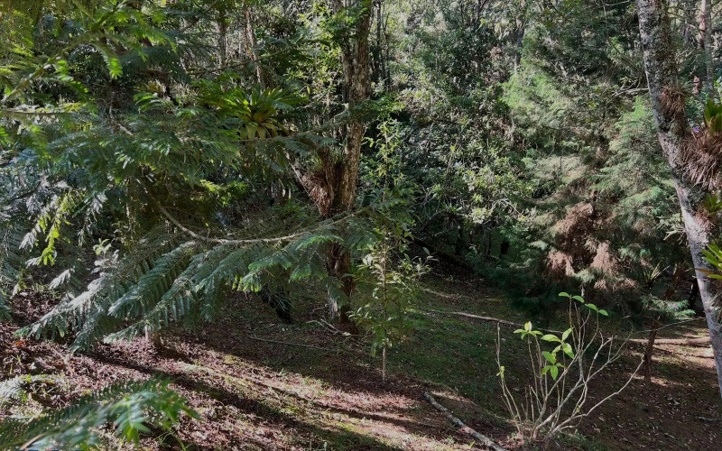 Lote Residencial en Envigado en V. Pantanillo (envigado)