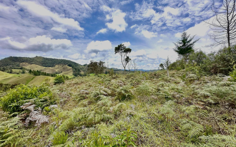 Lote Residencial en La Ceja en El Ochuval
