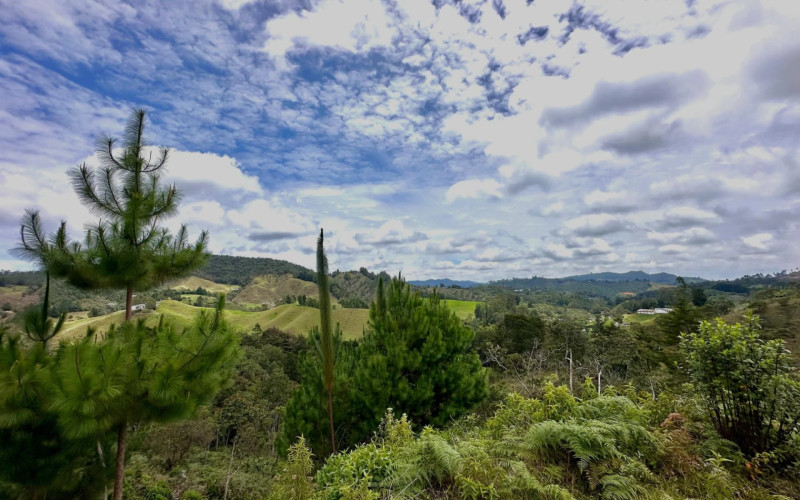 Lote Residencial en La Ceja en El Ochuval