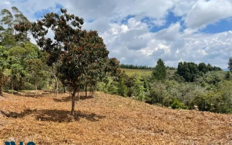 Lote Residencial en Rionegro en Aeropuerto