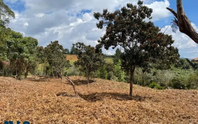 Lote Residencial en Rionegro en Aeropuerto