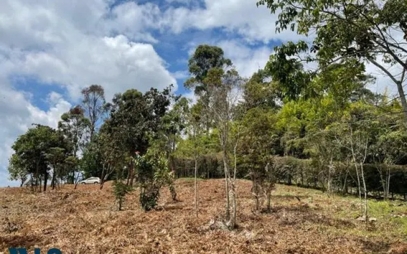 Lote Residencial en Rionegro en Aeropuerto