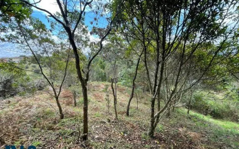 Lote Residencial en Rionegro en Aeropuerto