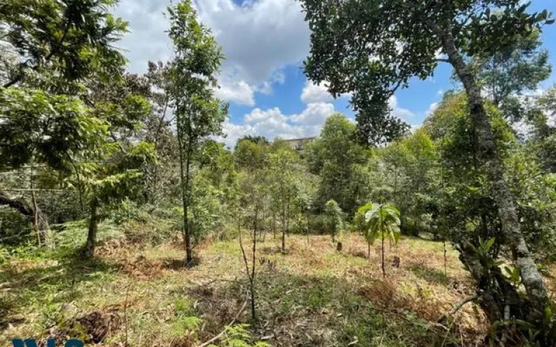 Lote Residencial en Rionegro en Aeropuerto