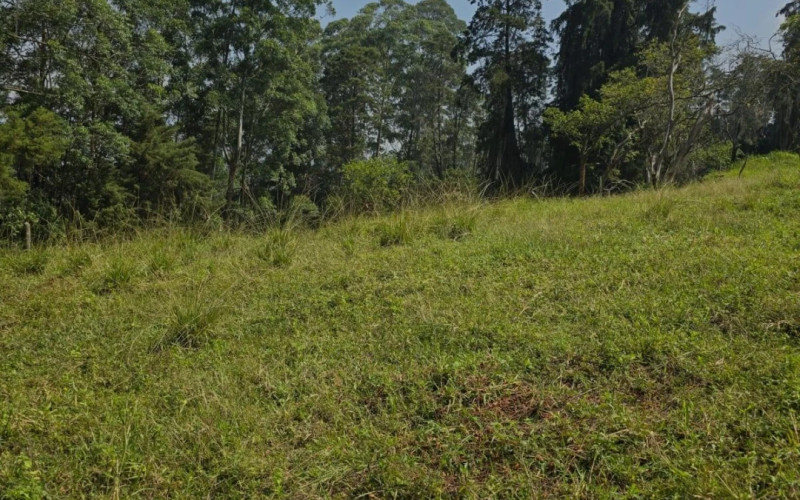 Lote Residencial en Envigado en San Lucas