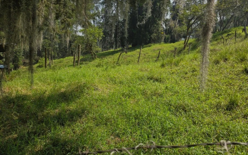 Lote Residencial en Envigado en San Lucas