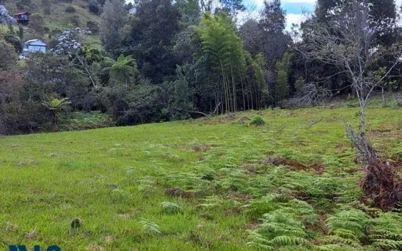 Lote Residencial en Rionegro en V. Sajonia