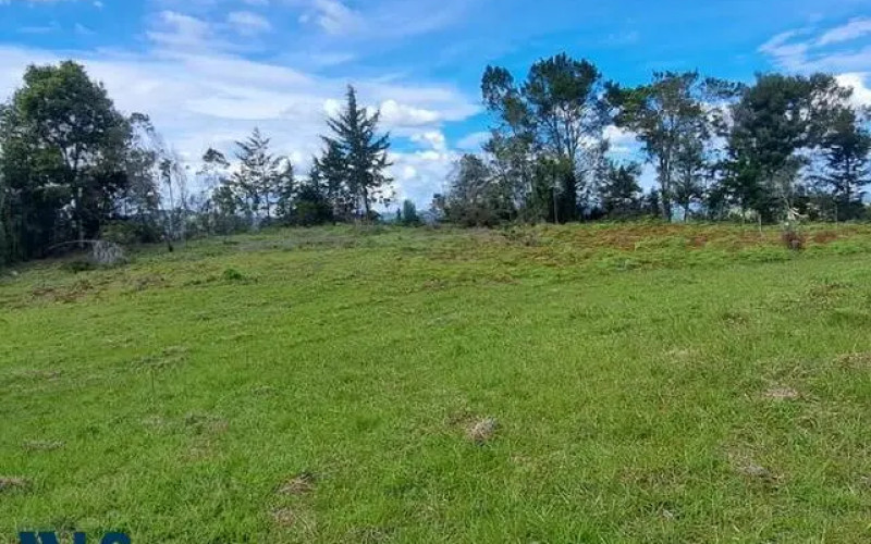 Lote Residencial en Rionegro en V. Sajonia