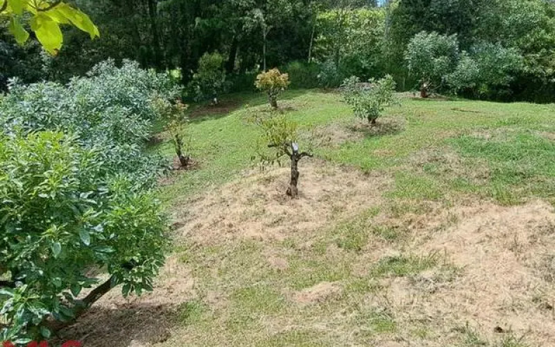 Finca Recreativa en Rionegro en V. Pontezuela