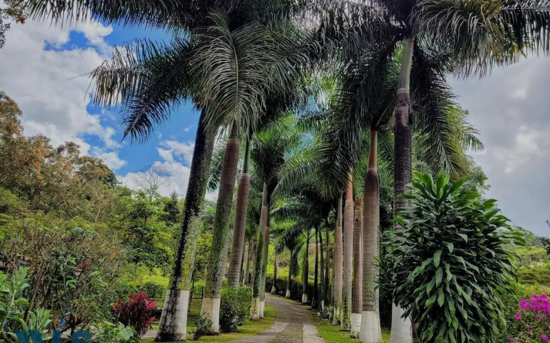 Finca Recreativa en Girardota en V. El Totumo