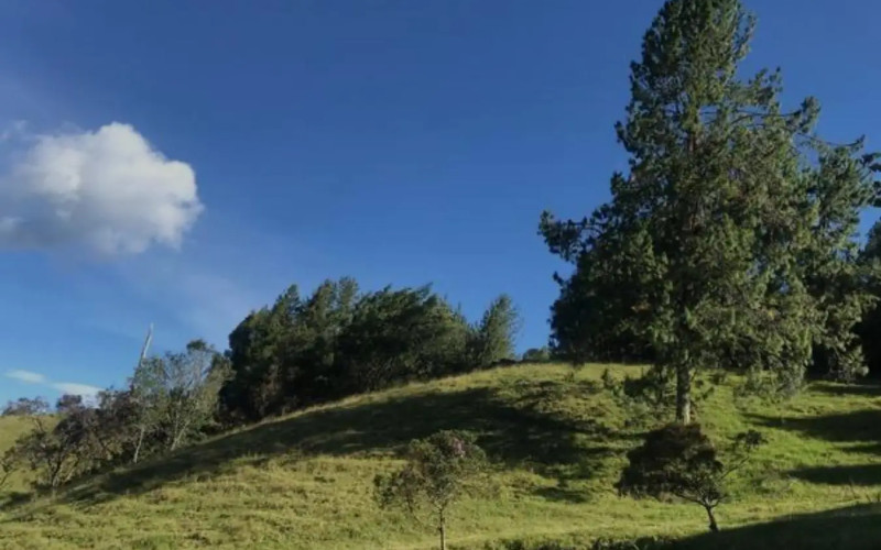 Lote Residencial en El Retiro en Alto del escobero (El Retiro)
