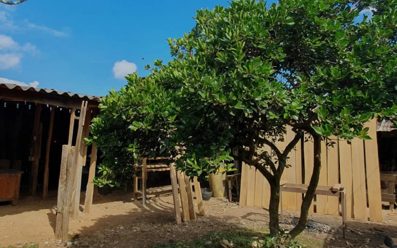 Lote Residencial en La Ceja en Urbano (La Ceja)
