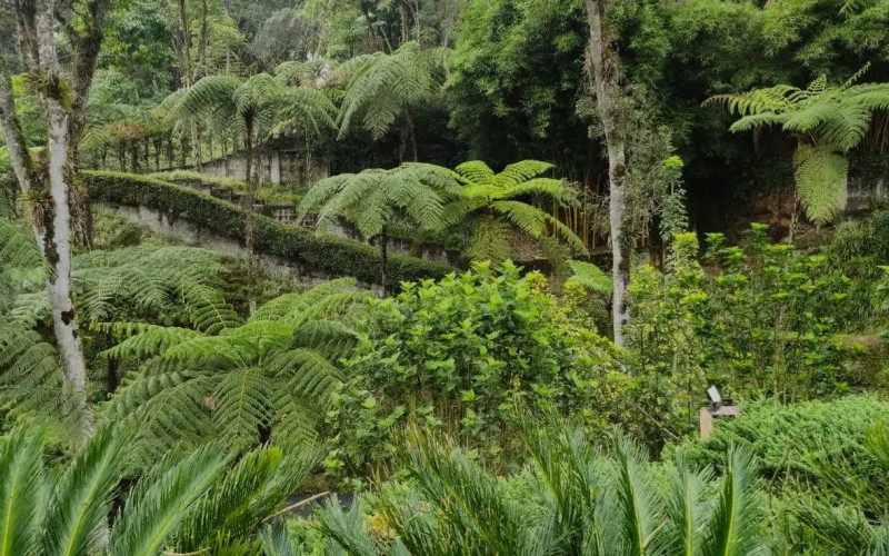 Casa en Rionegro en Llanogrande