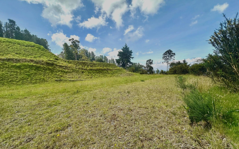 Lote Residencial en Envigado en Alto de las Palmas