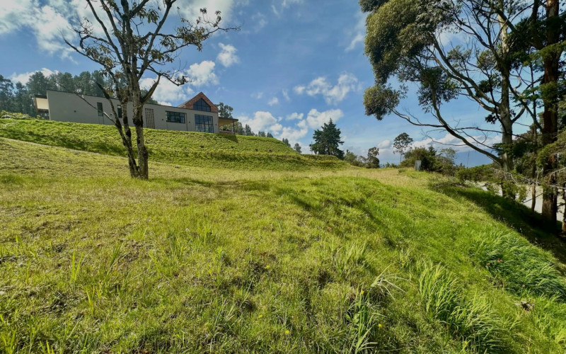 Lote Residencial en Envigado en Alto de las Palmas