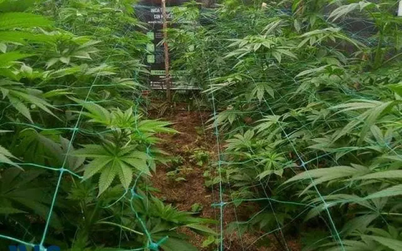 Finca Recreativa en Guarne en Santa Elena