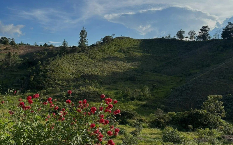 Lote Residencial en Rionegro en La Porquera