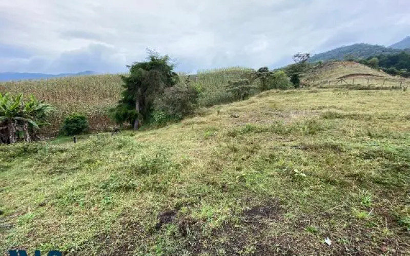 Lote Residencial en El Carmen en V. Campo Alegre