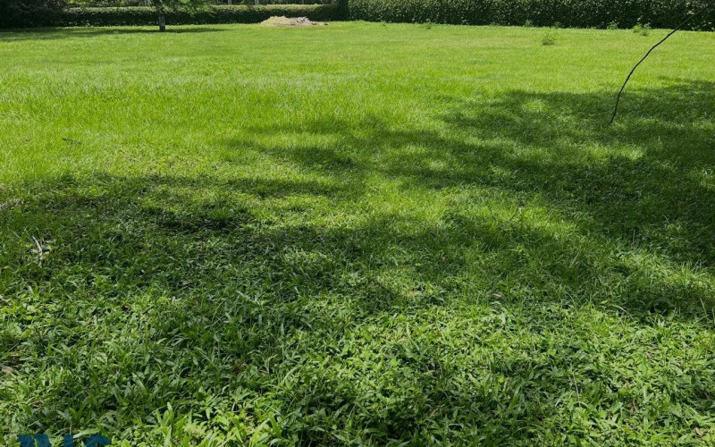 Lote Residencial en Santa Fe de Antioquia en V. El Espinal