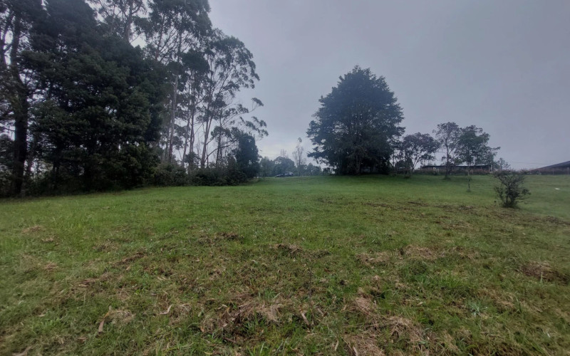 Lote Residencial en Envigado en Alto de las Palmas