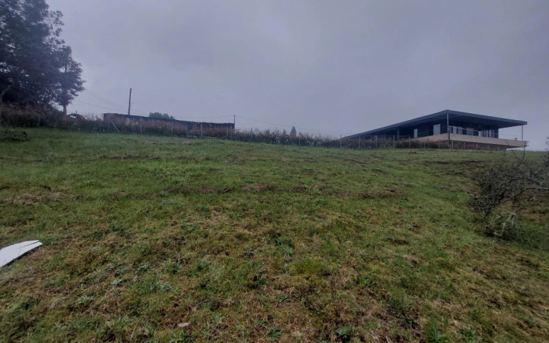 Lote Residencial en Envigado en Alto de las Palmas