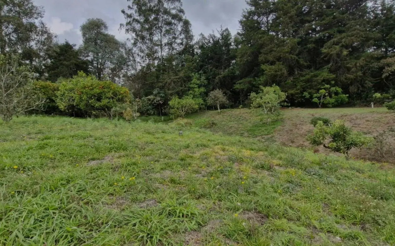 Lote Residencial en Rionegro en Aeropuerto