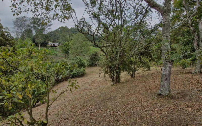 Lote Residencial en Rionegro en Aeropuerto