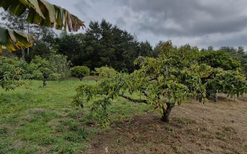 Lote Residencial en Rionegro en Aeropuerto
