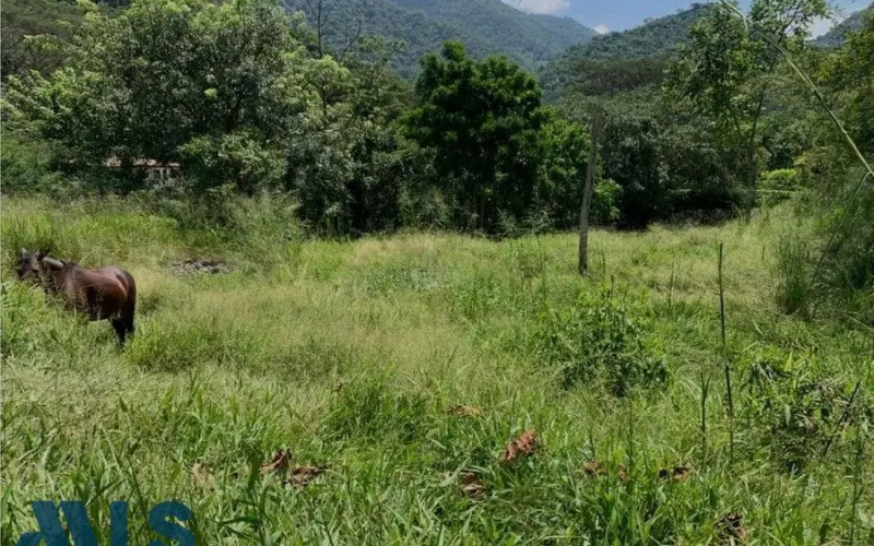 Lote Residencial en Bolombolo en C. Bolombolo