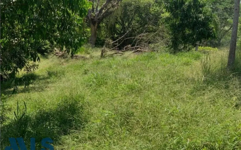 Lote Residencial en Bolombolo en C. Bolombolo